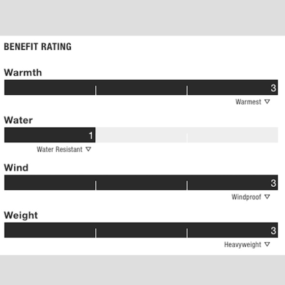 🆕 TNF Denali2 Sample - Picture 16 of 16